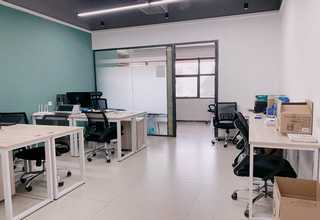 海南香蕉水果瑕疵分级筛选机什么价格